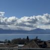 Vue sur le lac Léman depuis le Parc de Montbenon à Lausanne