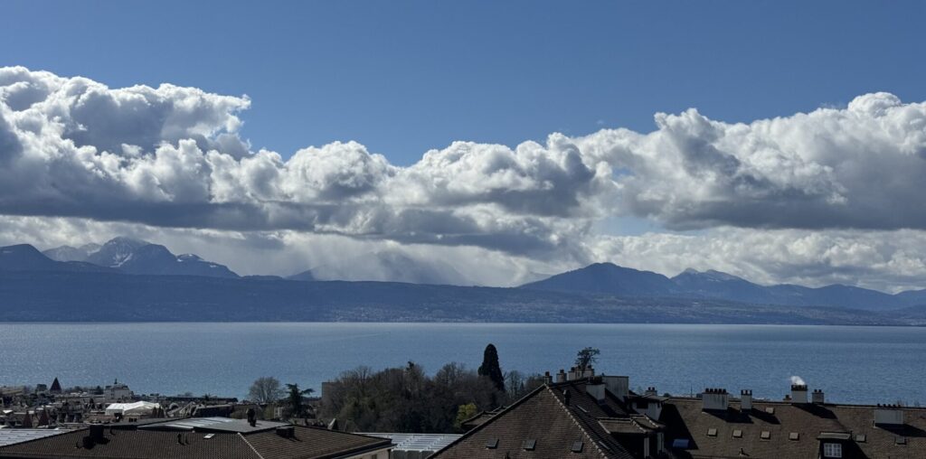Vue sur le lac Léman depuis le Parc de Montbenon à Lausanne